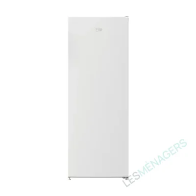 Congélateur Beko B1RFNE204WFR