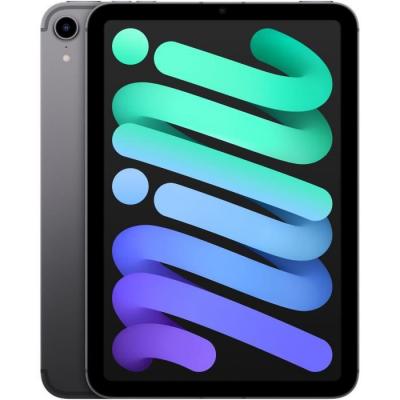 Tablette tactile Apple iPad mini (2021) - 8,3 - WiFi + Cellulaire - 64 Go - Gris Sidéral