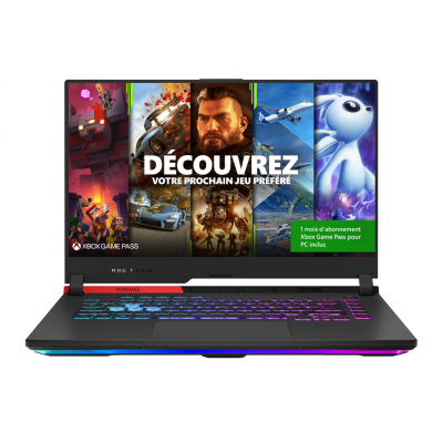 PC portable Asus ROG STRIX G15 G513QY-HF002W